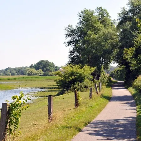 Crane Coast Kinnbackenhagen